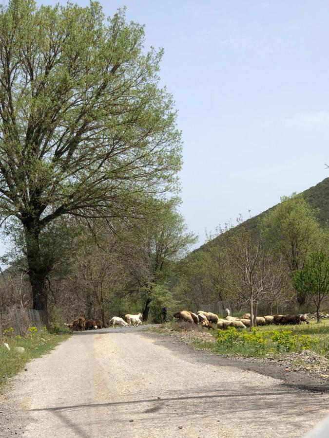 Poliani Village Poliána Eksteriør billede